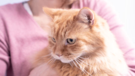 Allgemein-Hofmann_20190205-_DSC9207__05.-Februar-2019