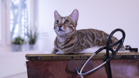 Hausbesuch-Hofmann_20190212-_DSC0473